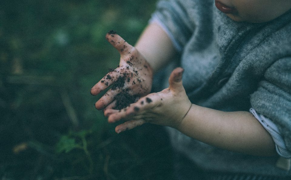 DER BODEN – UNSERE ERDE