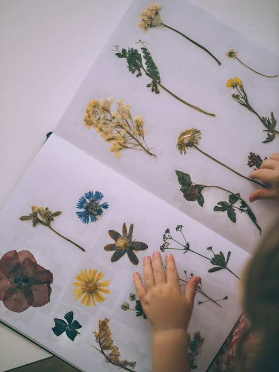 DIY BLUMEN PRESSEN